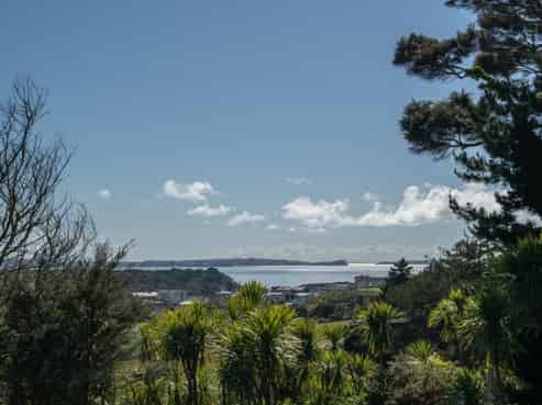 Multiple residential subdivision options