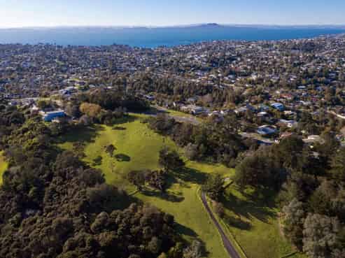 Multiple residential subdivision options