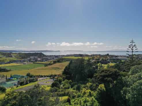 Multiple residential subdivision options