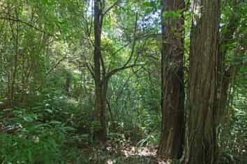 237 Ocean View Road, Oneroa