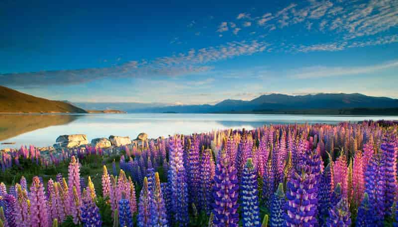Tekapo Sky Cnr Aorangi Crescent & D'Archiac Drive, Lake Tekapo