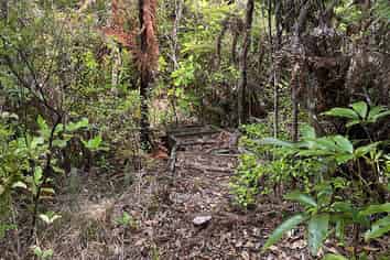 5 Silverstream Falls, Tairua
