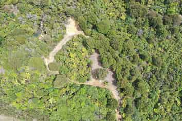 5 Silverstream Falls, Tairua