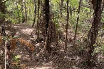 5 Silverstream Falls, Tairua