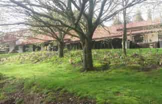 Auckland - Address withheld