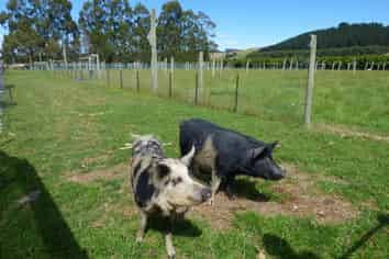 15 Russell Road, Oamaru