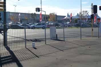 Highest profile sales yard in Palmy Nth