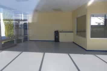 Highest profile sales yard in Palmy Nth