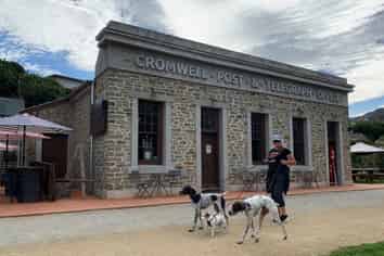 The Office - Central Otago Gold