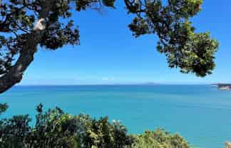 21 Palm Cove, Arkles Bay