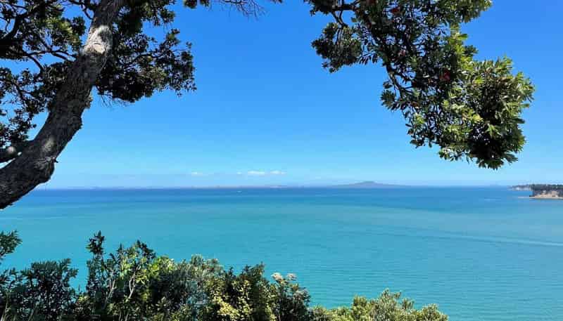 21 Palm Cove, Arkles Bay