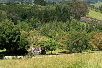 226 Wright Road, Katikati