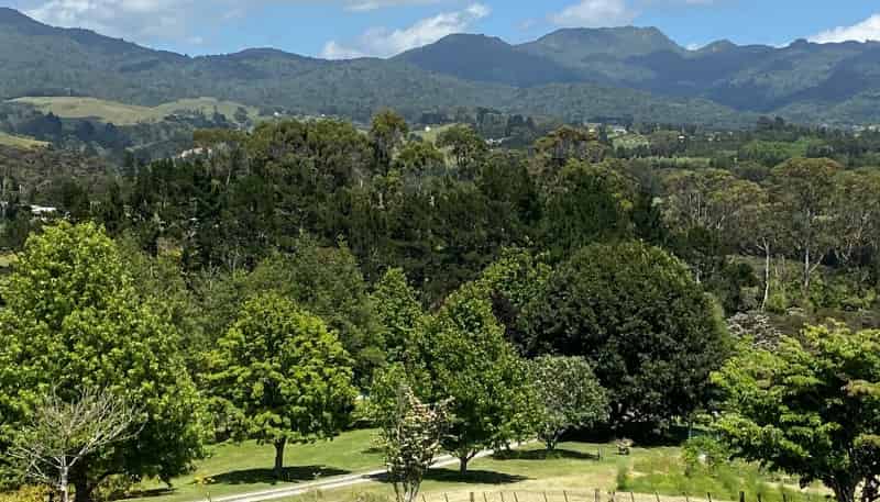 226 Wright Road, Katikati