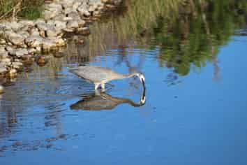 441 Maori Point Road, Cromwell