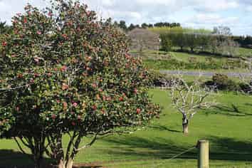 603 Main North Road, Waitara