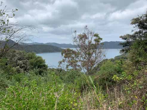 234a Kaiaraara Bay Road, Great Barrier Island