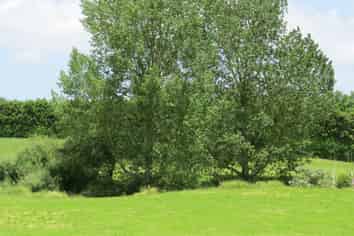 440 Waiuku Road, Pukekohe