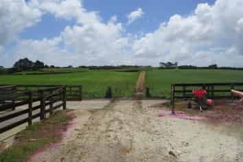 440 Waiuku Road, Pukekohe