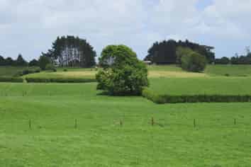 440 Waiuku Road, Pukekohe