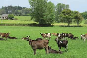 440 Waiuku Road, Pukekohe