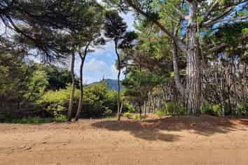 19 Woods Ridge Road, Kawau Island