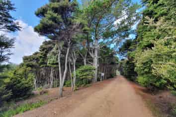 19 Woods Ridge Road, Kawau Island