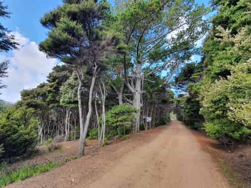 19 Woods Ridge Road, Kawau Island