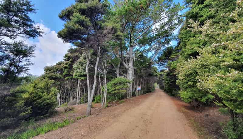 19 Woods Ridge Road, Kawau Island