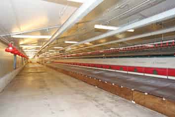 379 Aka Aka Road, Puni