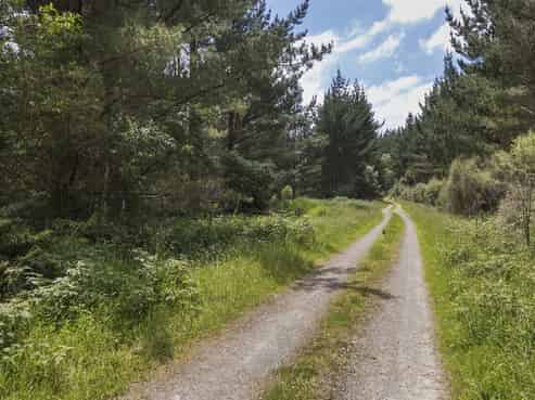 16 Tokomaru Valley Road, Shannon