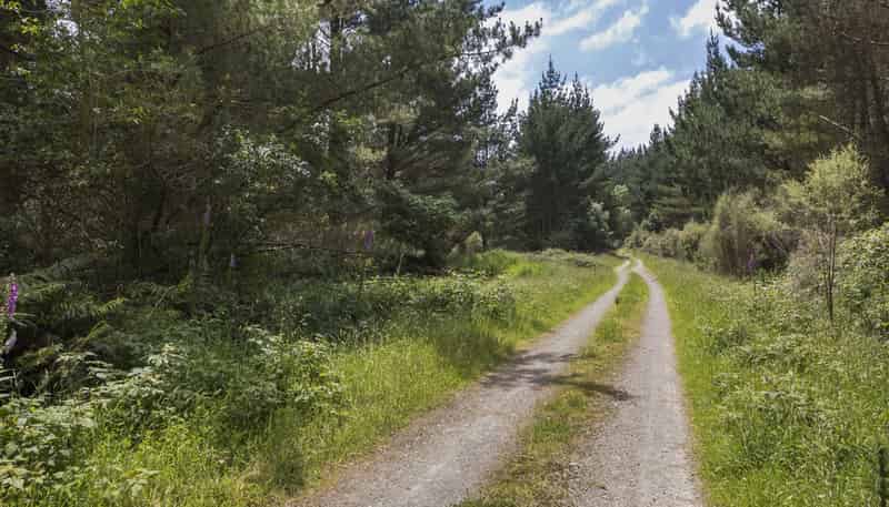 16 Tokomaru Valley Road, Shannon