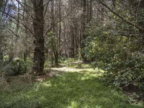 16 Tokomaru Valley Road, Shannon