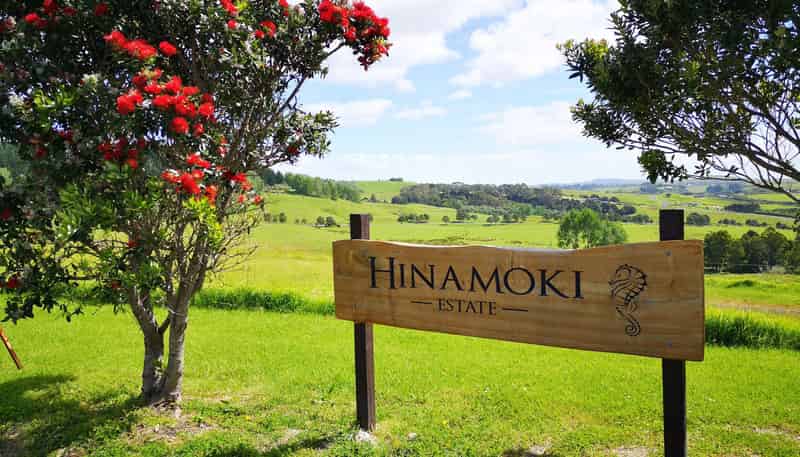 20 Barnfield Road, Kaiwaka