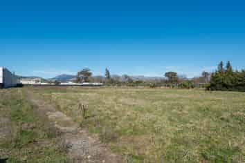 Rarer Than Hens' Teeth!