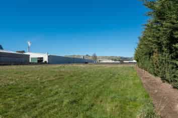 Rarer Than Hens' Teeth!