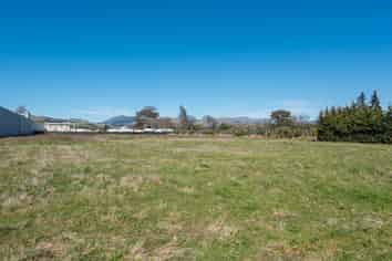 Rarer Than Hens' Teeth!