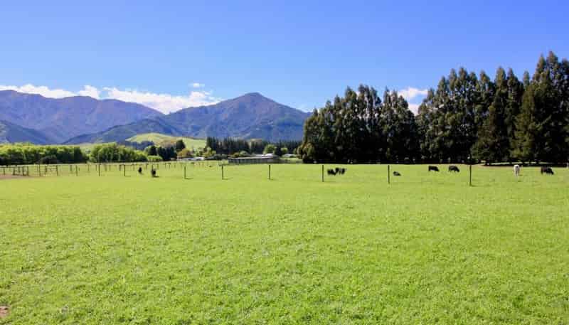 37 Woodbank Road, Hanmer Springs