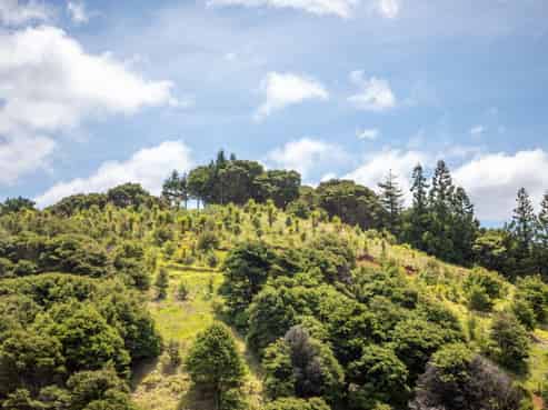 1171 State Highway 25, Kuaotunu