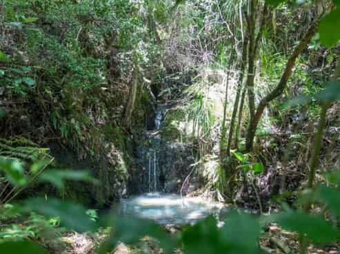 1171 State Highway 25, Kuaotunu