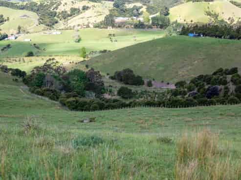 1171 State Highway 25, Kuaotunu