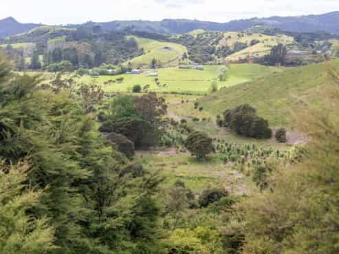 1171 State Highway 25, Kuaotunu