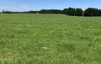 170 Upper Stuart Road, Eltham