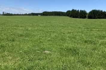 170 Upper Stuart Road, Eltham