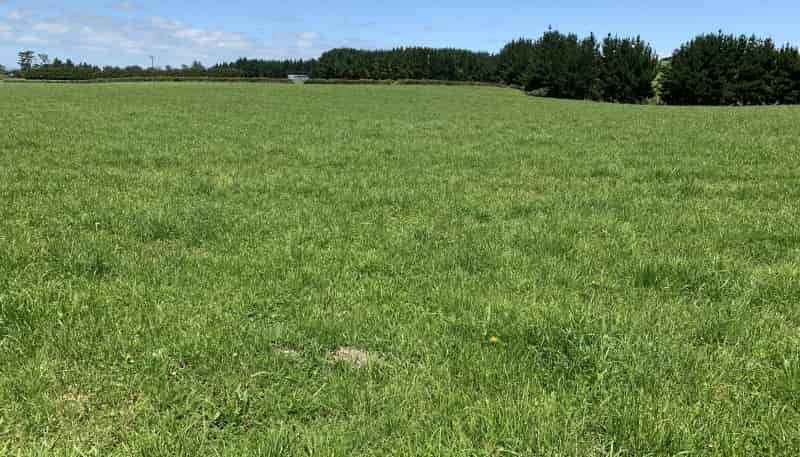 170 Upper Stuart Road, Eltham