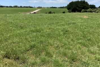 170 Upper Stuart Road, Eltham