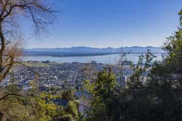 49 Tamaki Street, Tahunanui