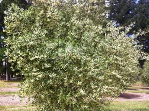 22 Lethbridge Road, Otaki