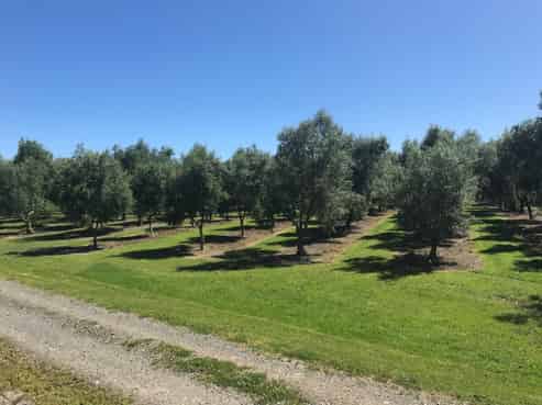 22 Lethbridge Road, Otaki