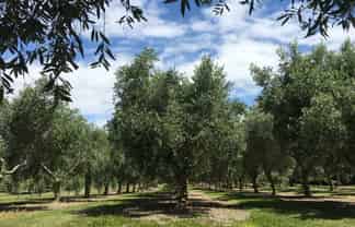 22 Lethbridge Road, Otaki