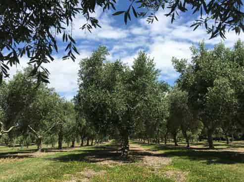 22 Lethbridge Road, Otaki